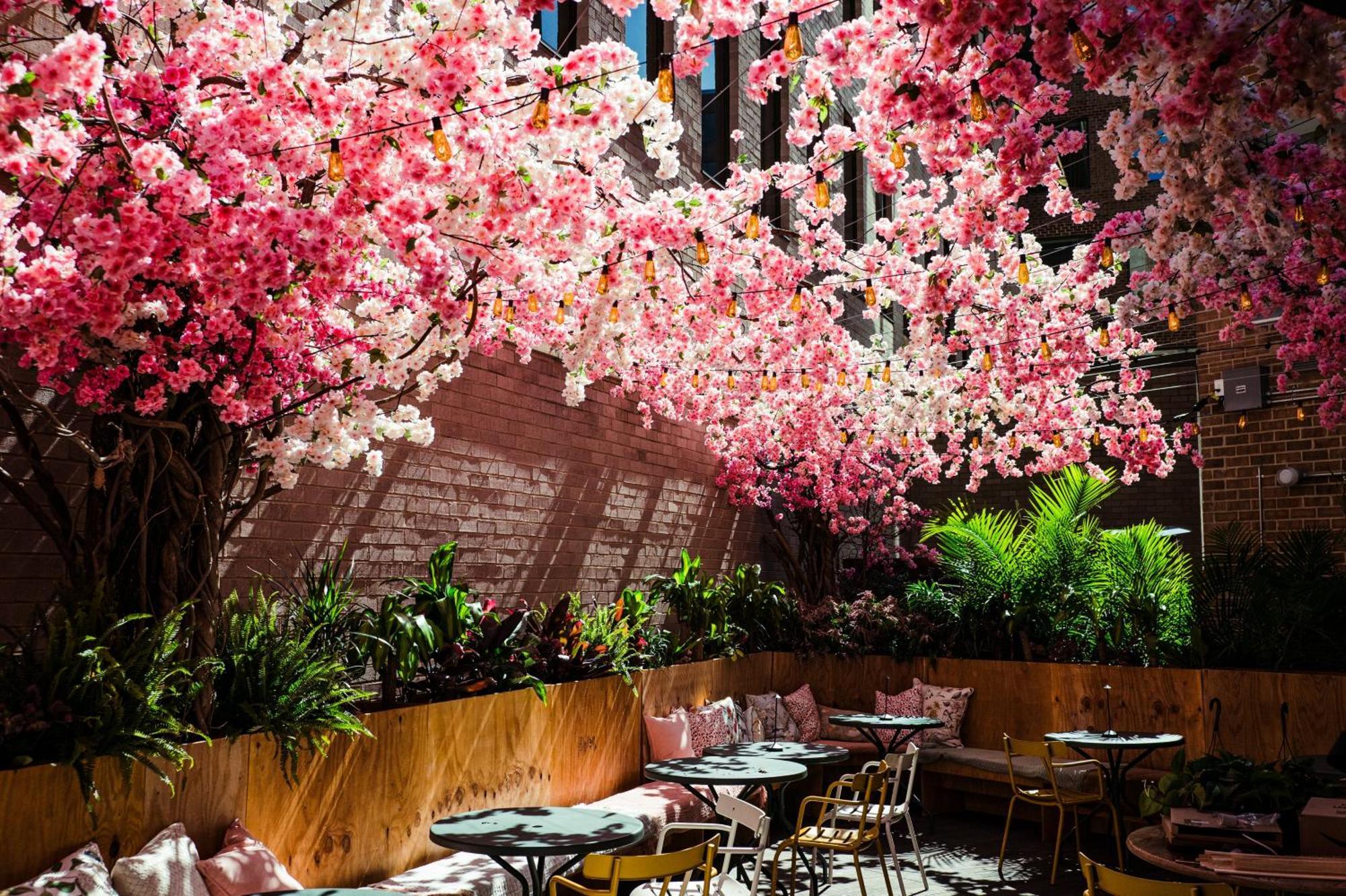 ยอร์ส ทรูลี ดีซี Hotel วอชิงตัน ภายนอก รูปภาพ The Sakura Bar
